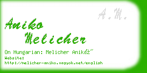 aniko melicher business card
